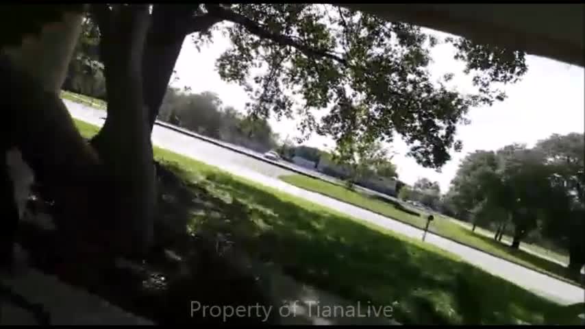 Tianalive Flashing And Front Yard Squirt