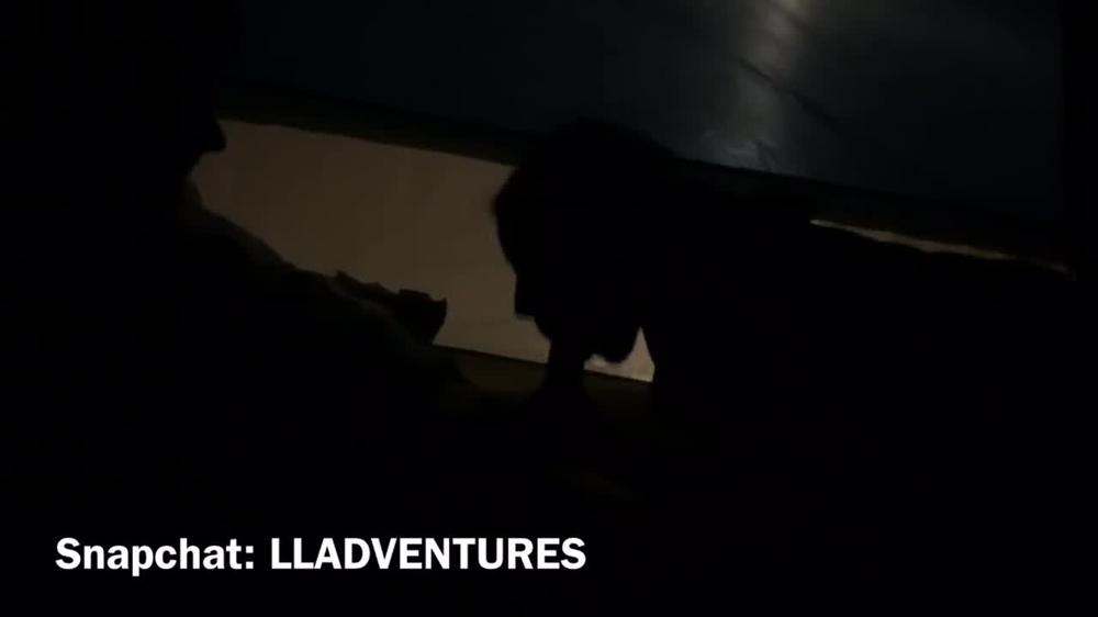 Risky Public Blowjob in Tent