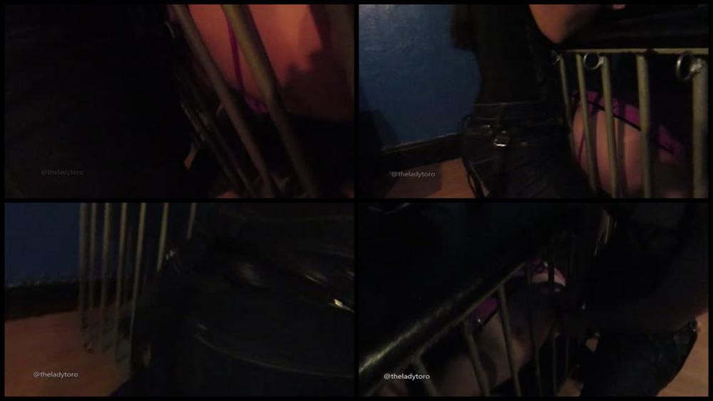 Ladytoro Cage Violation Manyvids