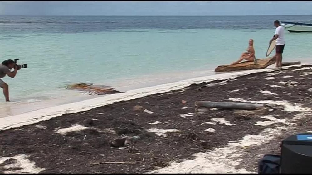 Revenge In The Tropics Bts Jlc