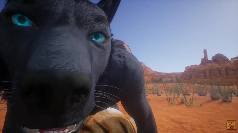 Wild Life Tiger Furry Girl With Wolf (Furry Girl POV)