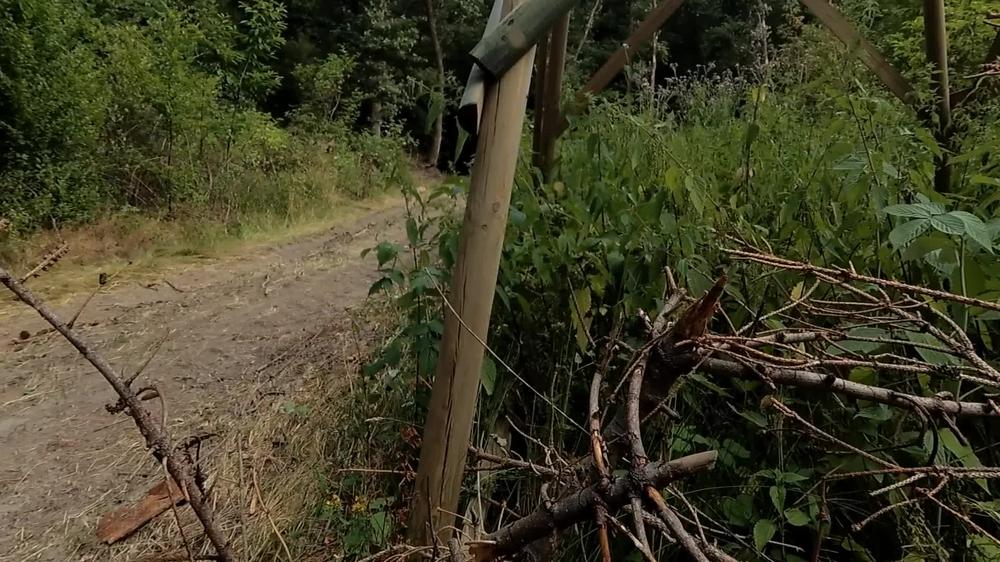 How far does she dare to walk away from her clothes naked in the woods?