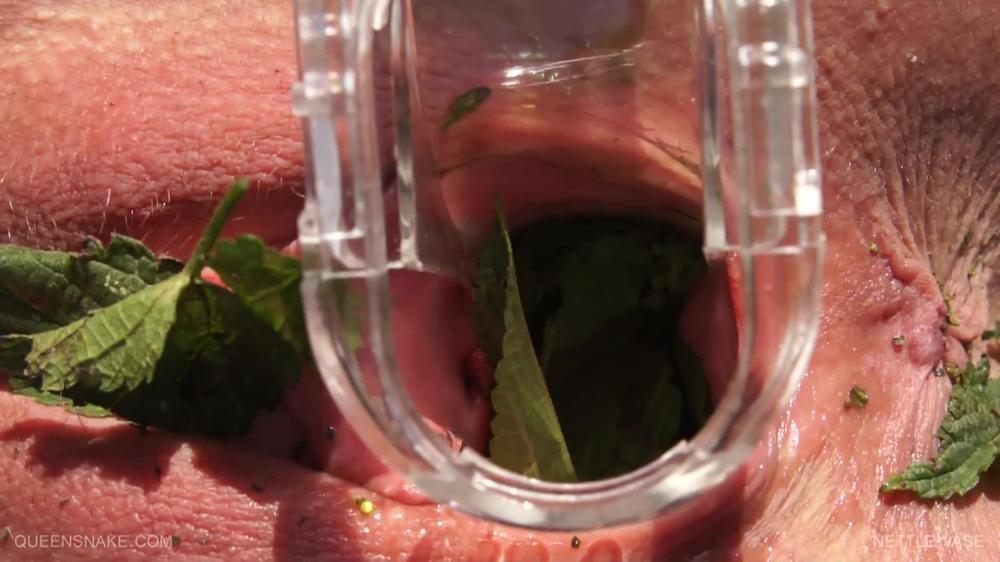 2011.09.24 Qs, Tanita - Nettle Vase