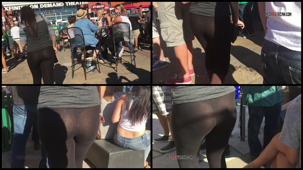 407 Xfin Seethru Leggings Leopard Thong
