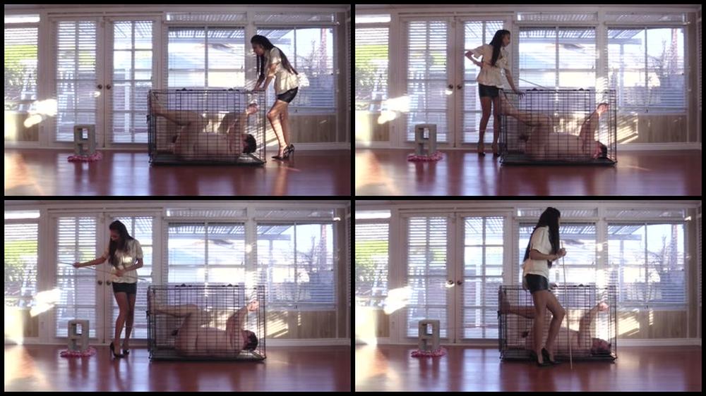 Empress Jennifer Caged Balls Manyvids