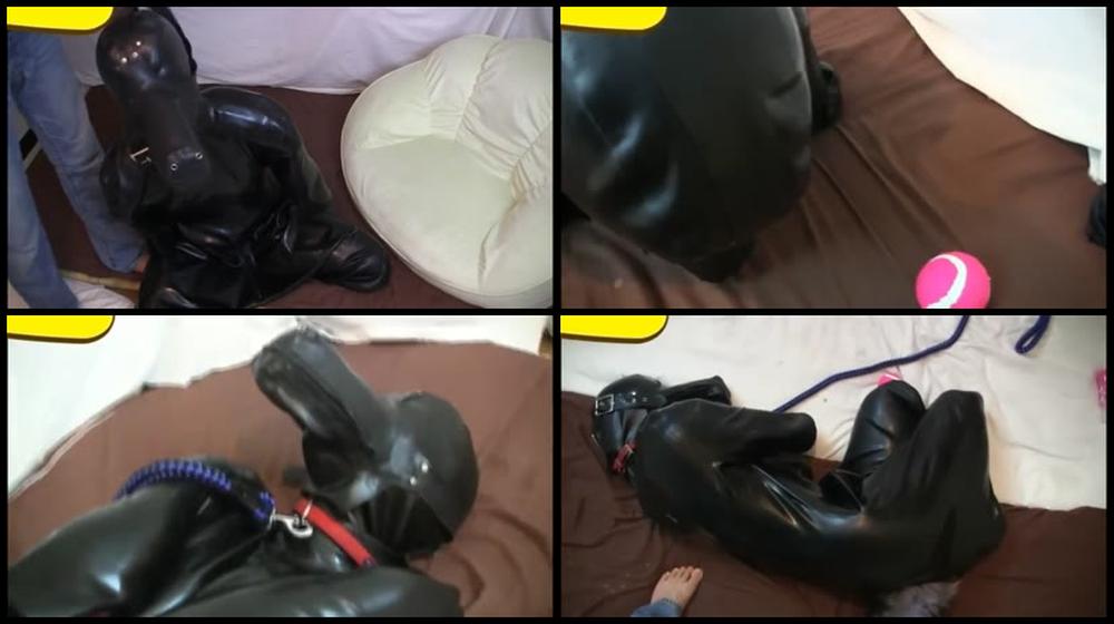 Cohi 037   Rubberdog3