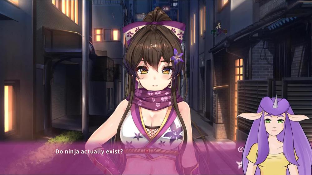 Let's Play Nin Nin Days Uncensored Part 1 Finding a cute Ninja girl