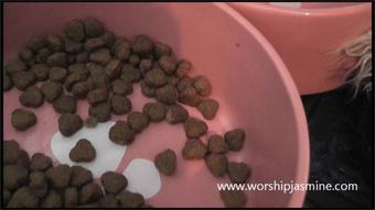 Worship Jasmine Caged Whilst She Lives Your Life 1080P