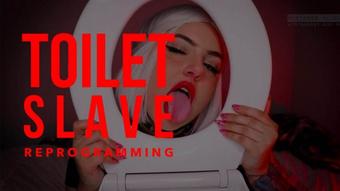 Mistressbijoux Toilet Slave Reprogramming