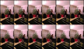 Iamrachelsparks 13 12 2018 17841116 Worship Me While I Decorate My Christmas Tree