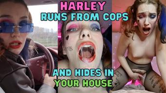 Harley Quinn Runs From Cops POV FUCK - April 26, 2022