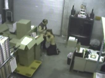 Security Cam Chronicles Scene 2.