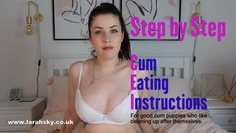 Step by Step Detailed CEI