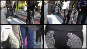 229 Fremont Seethru X264
