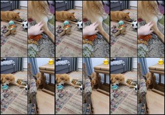 2021 05 11 Doggo Update Since So Many Asked Im Not In It For Those Of You Not Interested In Doggo Update