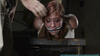 The Gag Testing Institute 2