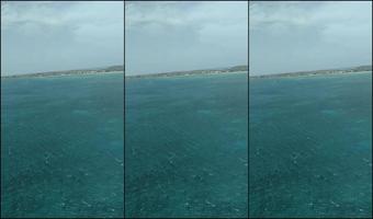 GORILLA P PARASAILING OVER THE CARRIBBEAN SEA!!!!! ❤ARUBA