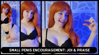 Small Penis Encouragement: JOI & Praise - September 04, 2023