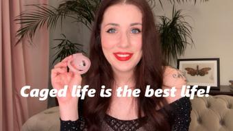 Chastity Life is the Best Life