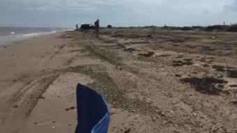 Hollyhotwife – Picking Up A Stranger On The Beach