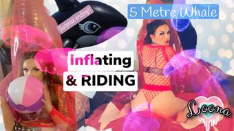 5 METRE INFLATABLE PINK WHALE- BLOW/FUCK - August 23, 2022