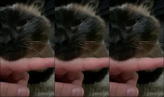 5F348F7537C48241D2C71 Source