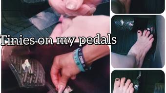 Tinies taped to my pedals - Aug 30, 2022