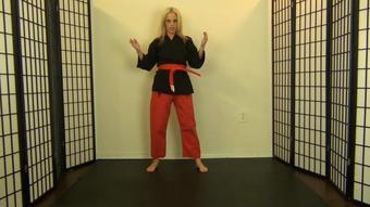 Roxieraefetish Roxie Raes Karate Kicking Chopping