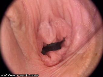 Sandra Shine - Inthecrack - 068 05_Nookandcranny (05.15) 640X480_2089