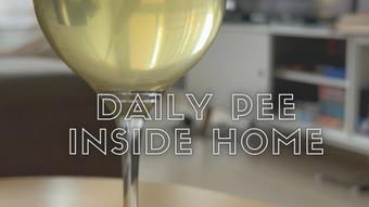 Daily Pee - Home is my Bathroom - Mar 1, 2022