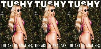 The Art Of Anal Sex 12