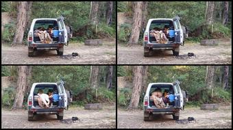 Thelovelyisla 09 02 2022 2357376881 A Little Clip From My Recent Camping Trip I Think I Need To Film While Camping More Oft