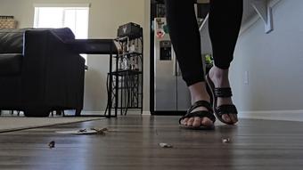 Giantess vs Tiny Shrunken men Role-playing - May 24, 2025