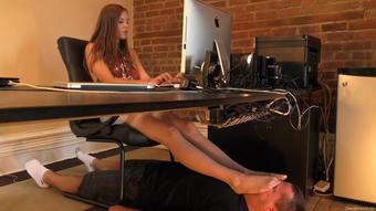 [Dreamgirlsinsocks] Cassandra - Cassandra'S Business Hours