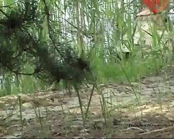Nudebeachdreams.Com 07_09_03_All
