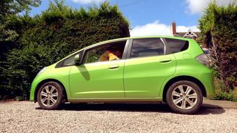 Ariel Anderssen Car Bounce And Shake