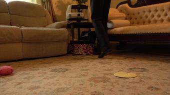 Ariel Anderssen Cat Burglar Whoopee Cushion Disaster