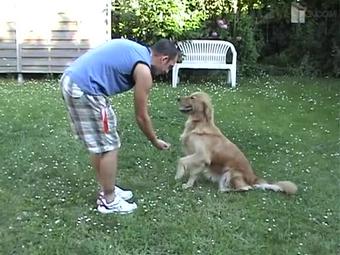 350_Home Made Sex With Blowjob_3763_Sd