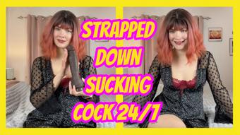 Strapped Down Sucking Cock 24/7 - January 31, 2025