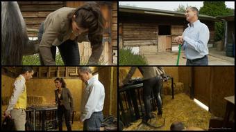 Theequestrianlady Com Theequestrianlady Disobedienthd Special For Pornolab Net