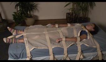 Pipcadbed1