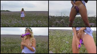 Janavolkova Janas Purple Meadow Hd