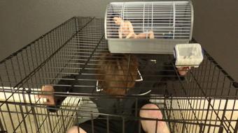 2 Amazon Goddess Dom & Eat Shrunk Slaves