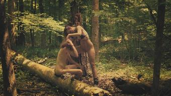 Amateur Couple Has Sex In The Woods