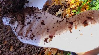 Sock Walk In Mud - Lick them
