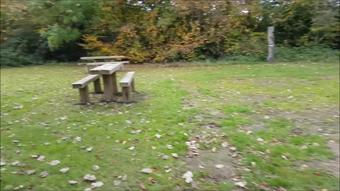 Fuck Me on the Bench in the Nature Park