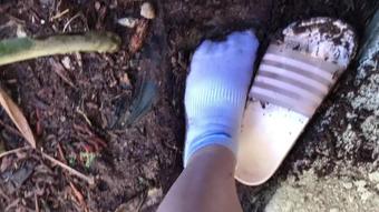 Dirty Socks In The Garden