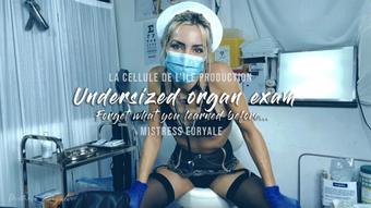 Mistress Euryale Undersized Organ Exam