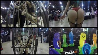 Canadiansammy Zhaddie And Sammy Do Chicago Exxxotica 2017 10 20