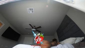 Bed Humping - December 19, 2021